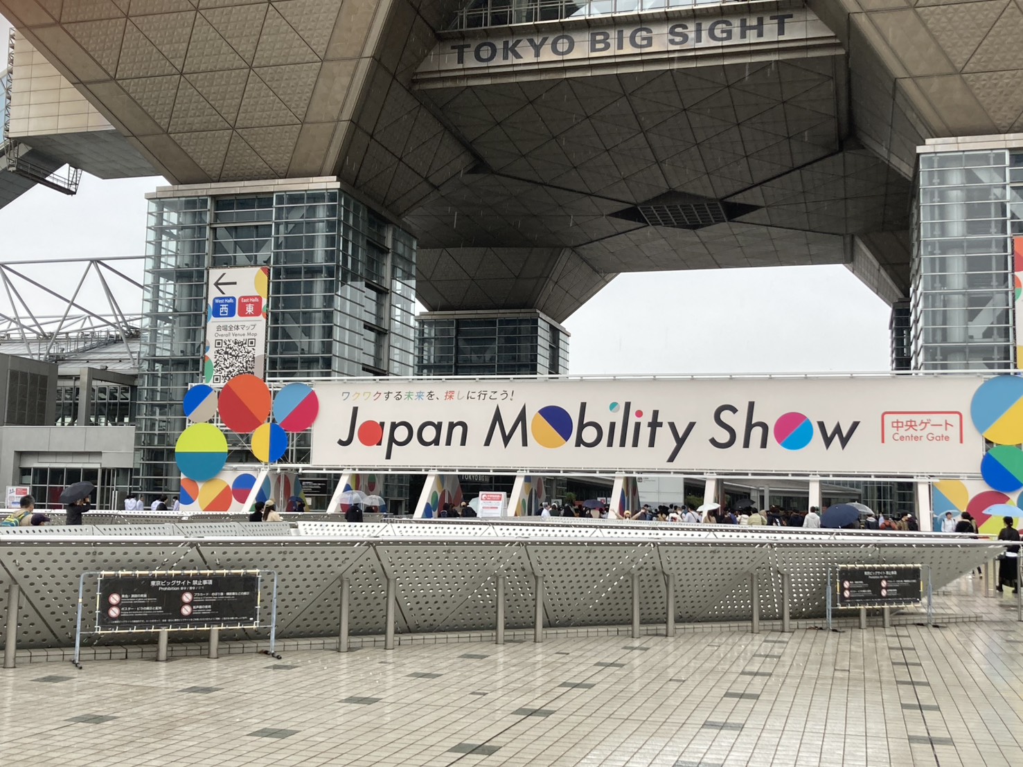 かわいい猫の写真